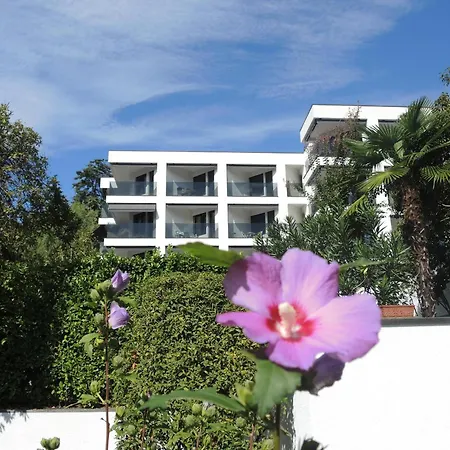 Fiore Rosa By Fewotessin * Ascona