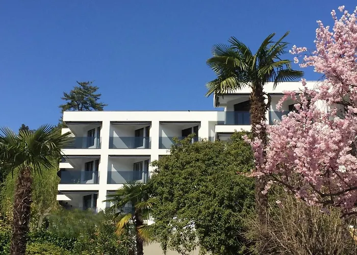 Fiore Rosa By Fewotessin * أسكونا