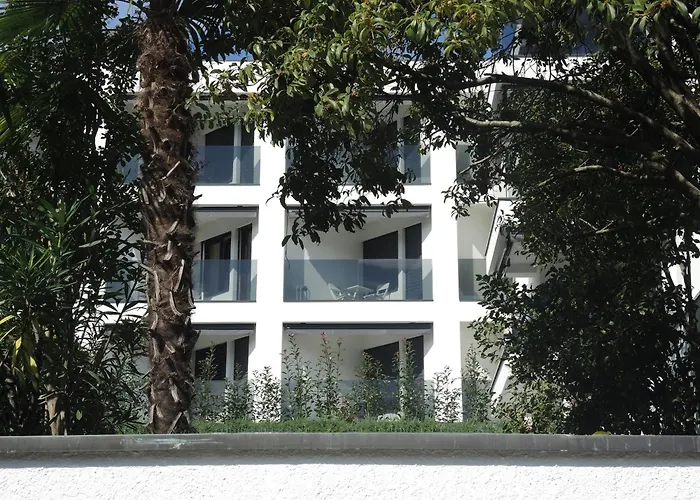 Fiore Rosa By Fewotessin